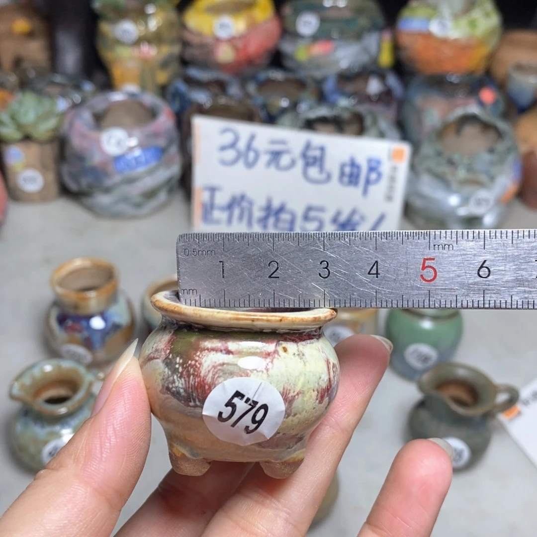 拍5送一个小礼物