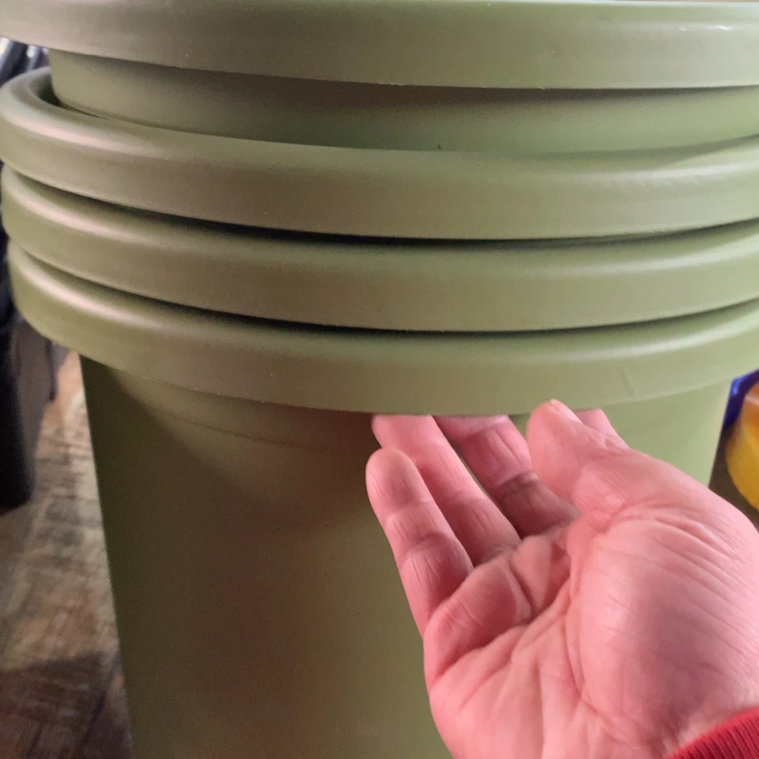 红陶32口果绿无托4个