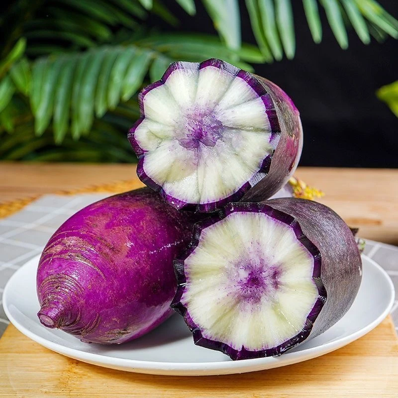 【现摘现发】山东寿光原产地新鲜冰淇淋水果紫萝卜甜脆多汁冰糖心