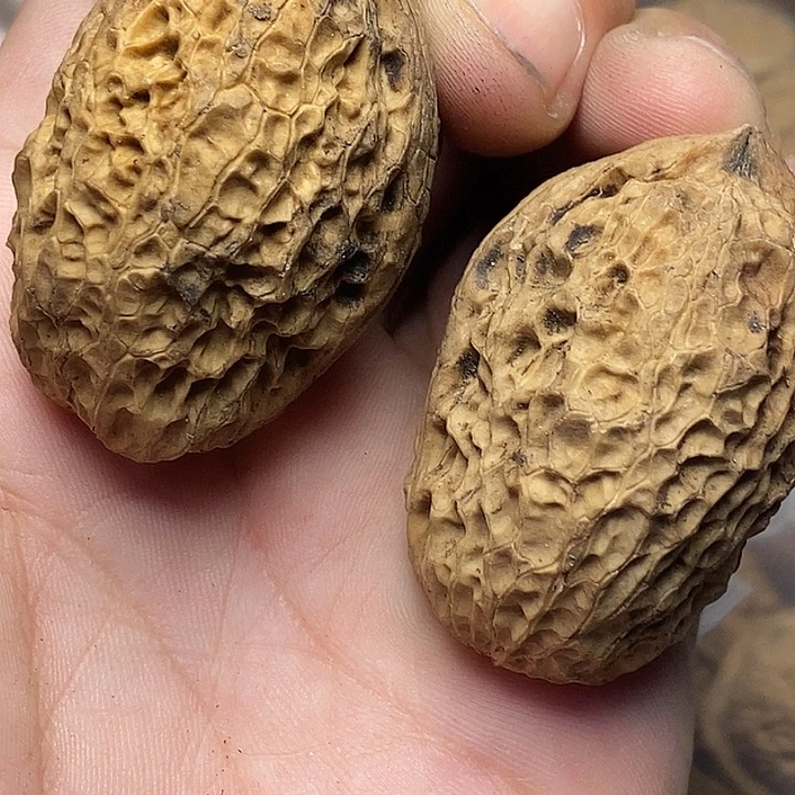 把件文玩核桃云南铁核桃82