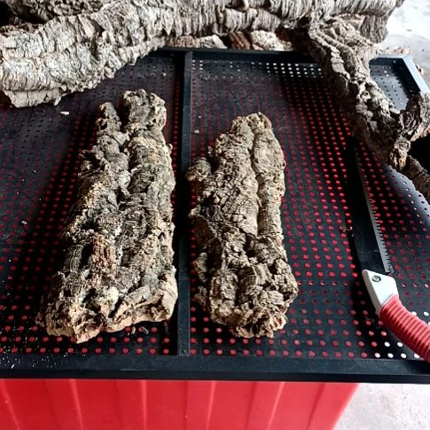 自*一物一拍一物一发