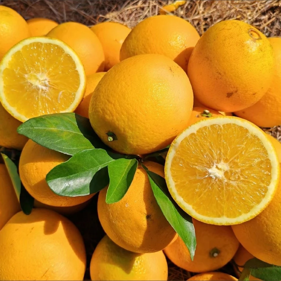 正宗赣南脐橙香甜多汁新鲜现摘当季孕妇水果产地直发