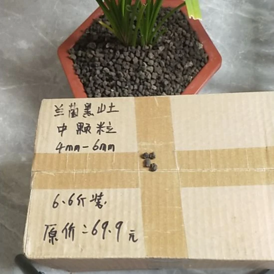 老***代兰菌黑山土中颗粒6.6