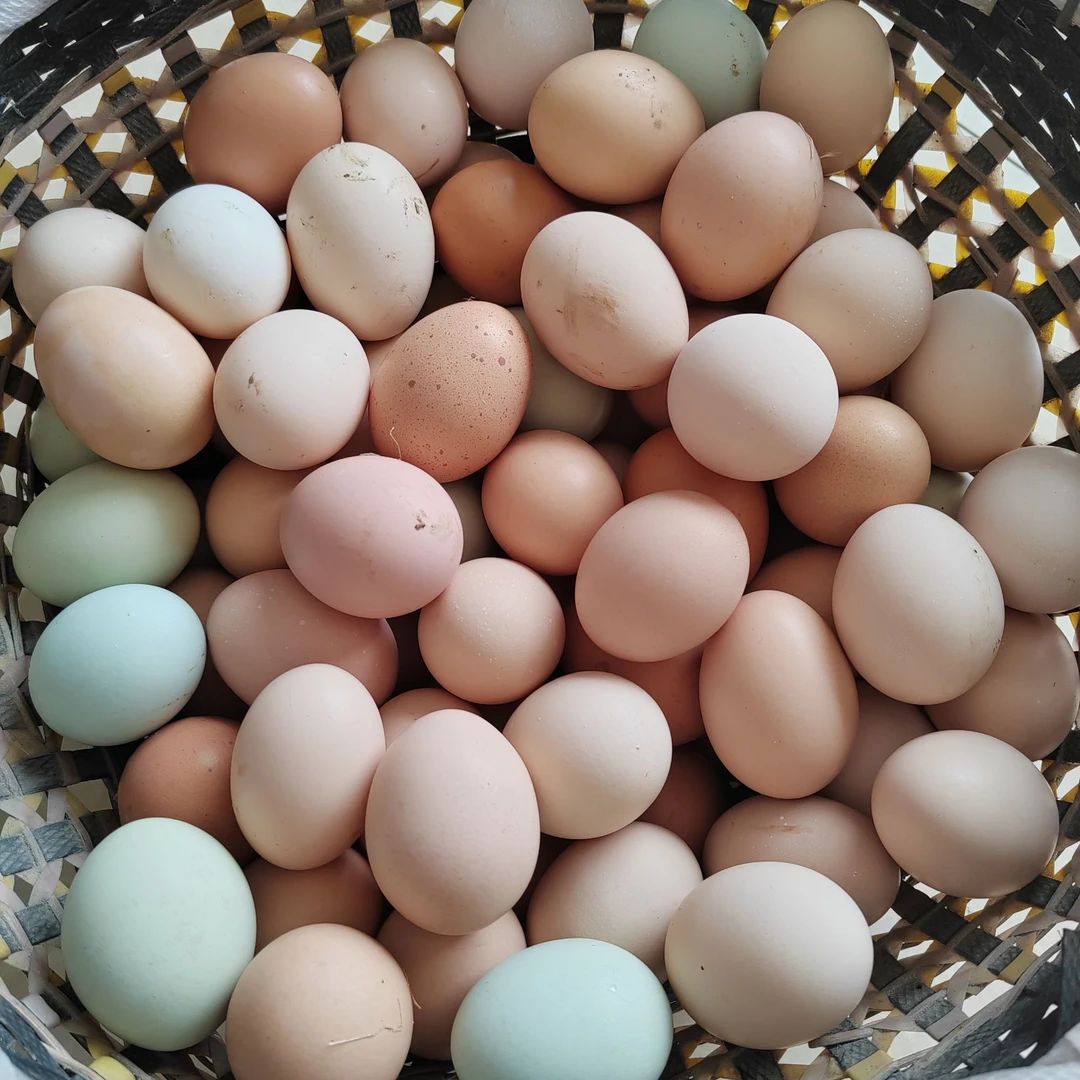 湖北农家散养土鸡蛋50枚顺丰包邮