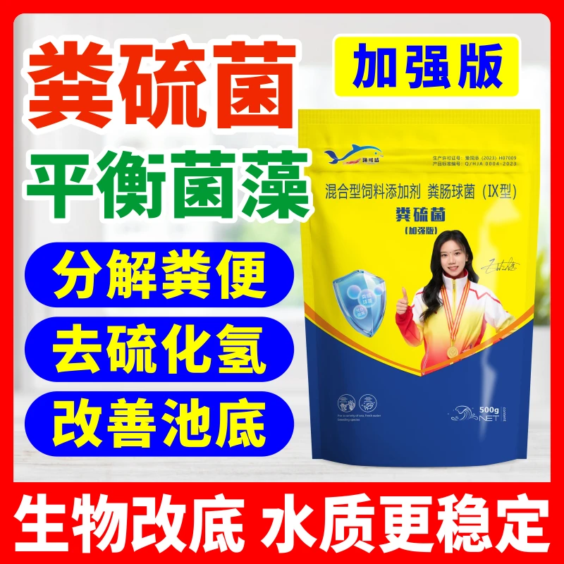 渔可盛粪硫菌粪流净颗粒生物改底水产除黑臭净化有机质降硫化氢