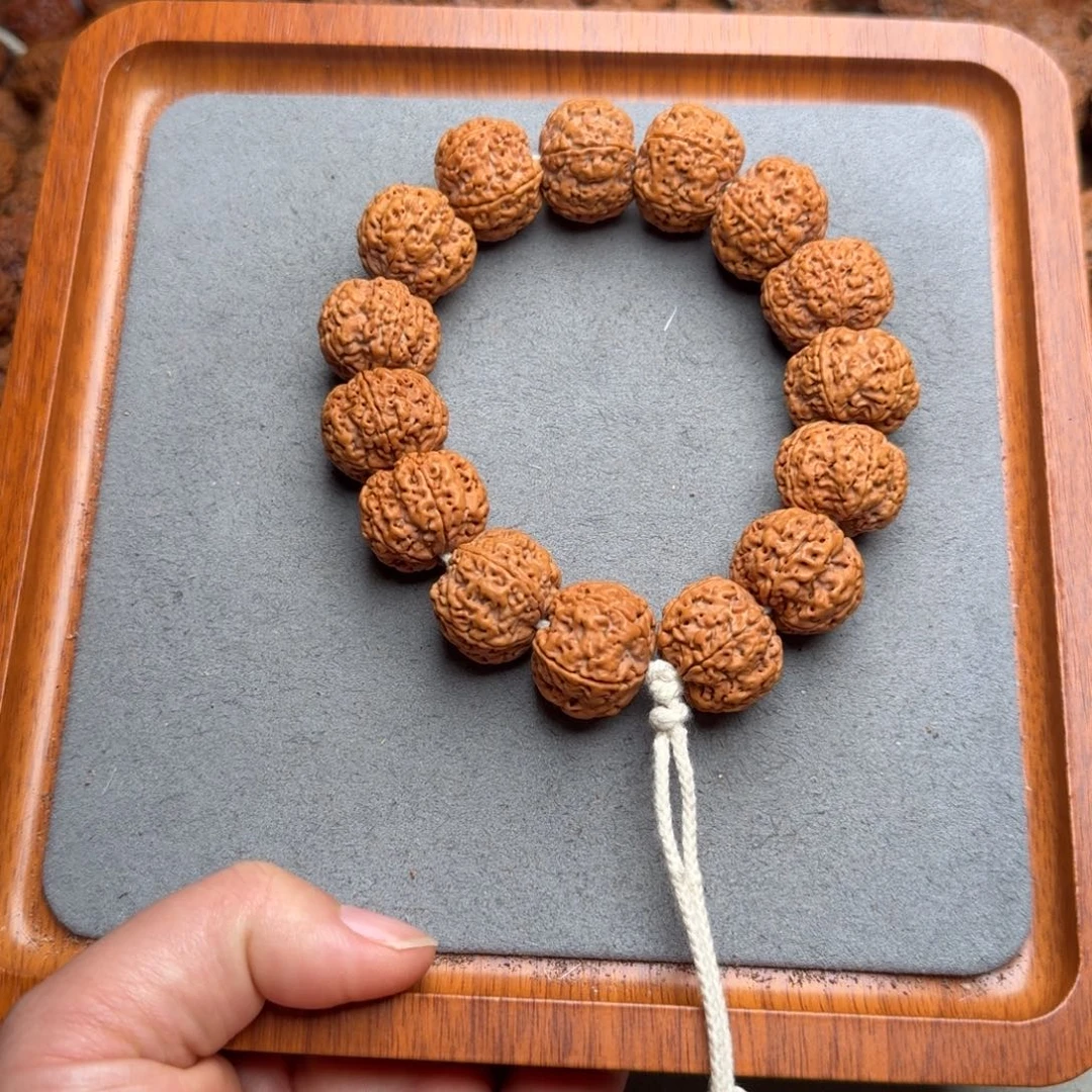 菩提菩提25号尼泊尔大金刚21满肉蜂窝