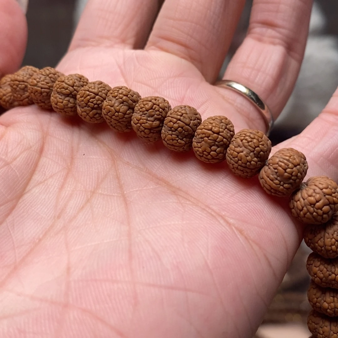 雨***3菩提籽类龙鳞长串