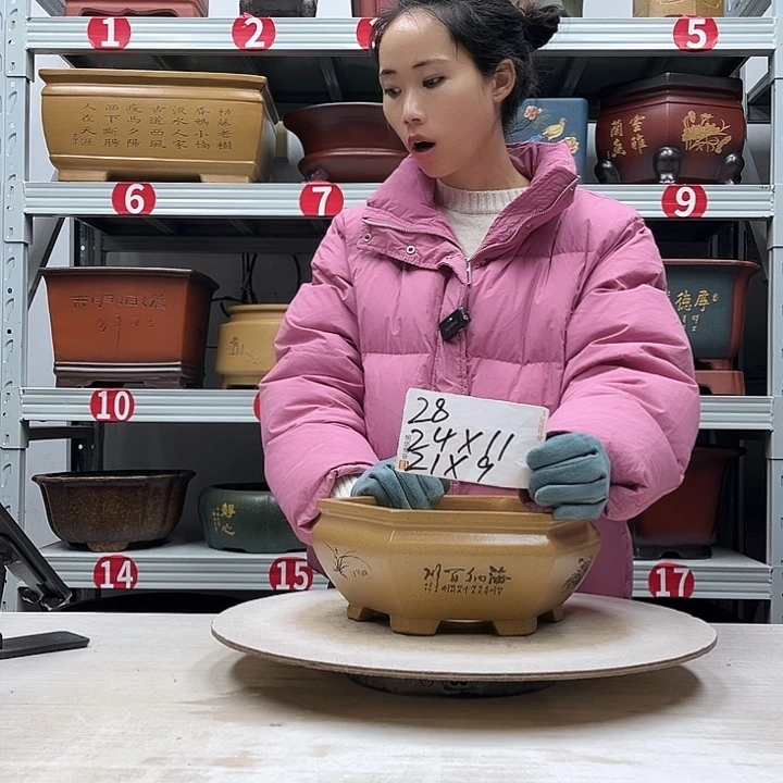 紫砂花盆紫砂花盆