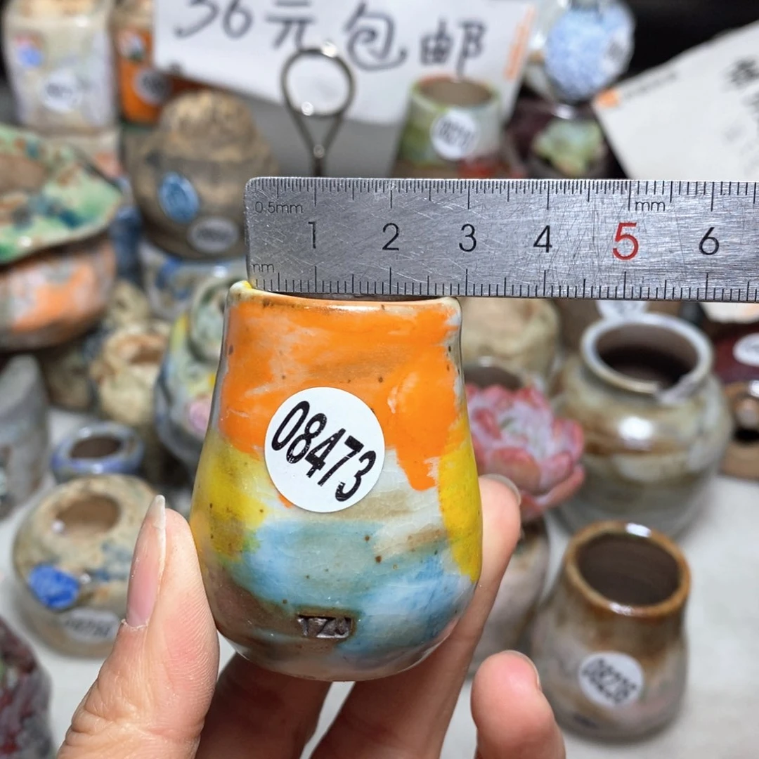 花盆拍5送一个小礼物