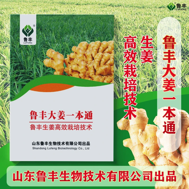 鲁丰大姜一本通