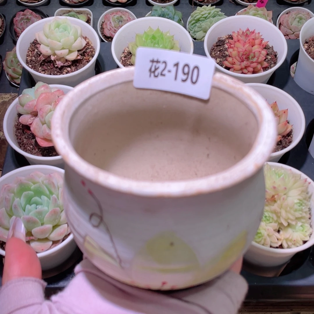 花利美2-190花盆一个