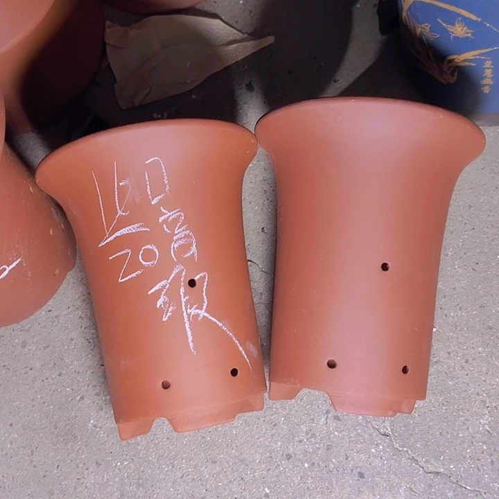 周深周深周深周深周深