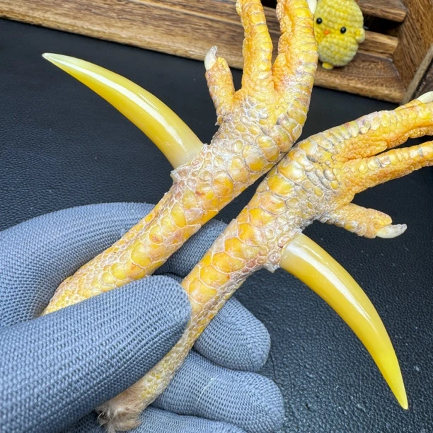 文玩鸡爪骨手把件（一对 处理好十天左右发货）