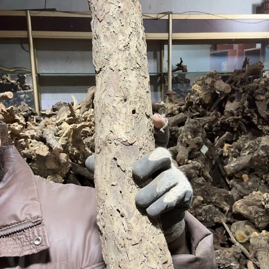 香榧木哪***_火琉璃的毛料摆件