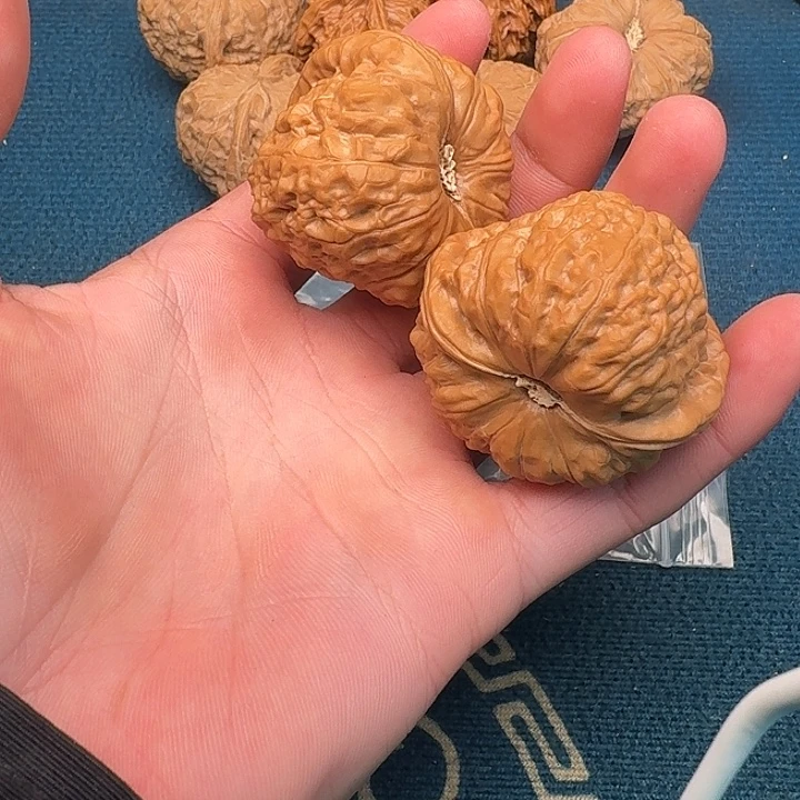 棕***胖文玩核桃吊坠哈哈哈哈哈