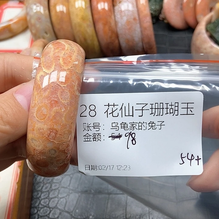 硅化珊瑚（珊瑚玉）手镯未镶嵌乌****子28
