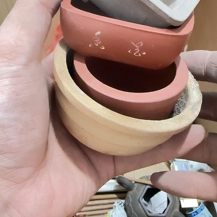 小***建扇子干活哥哥哥哥哥哥哥哥哥哥