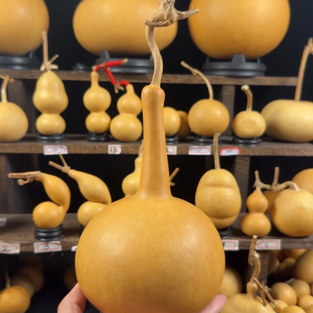 钢***子葫芦葫芦葫芦葫芦葫芦葫芦葫芦葫芦