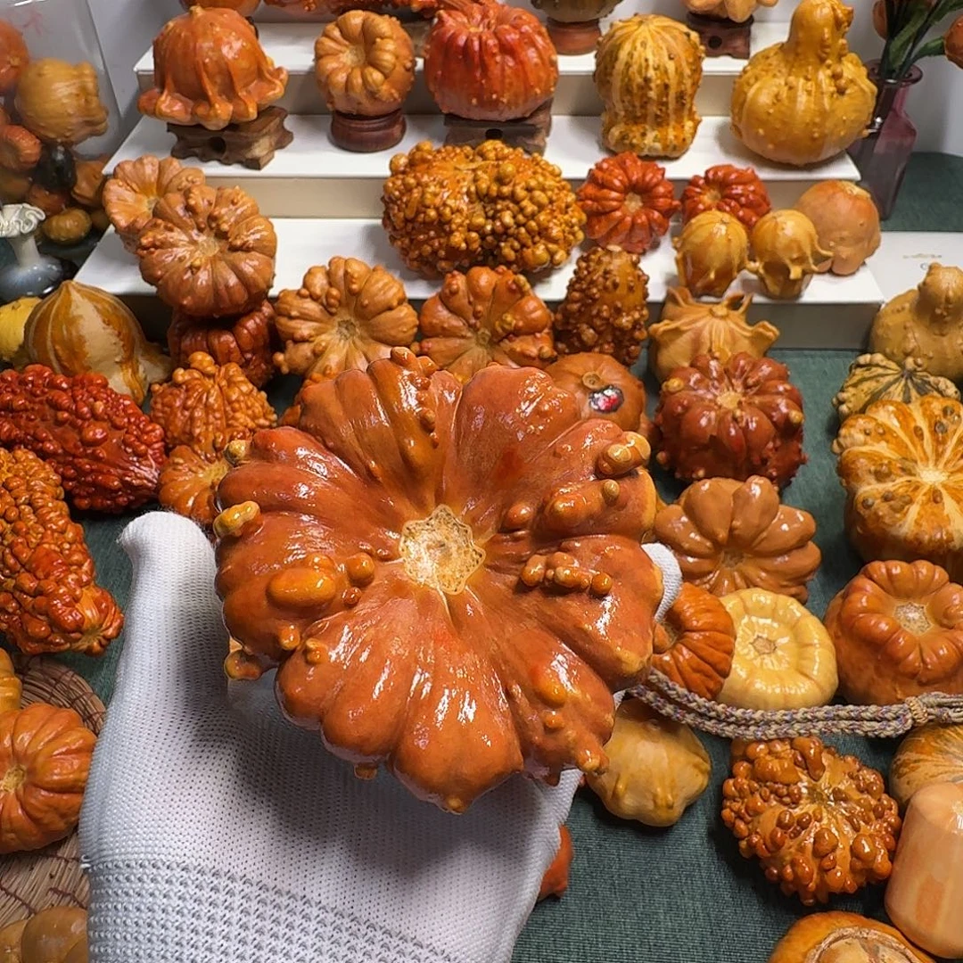 述***述墨西哥葫芦瑕疵不退换