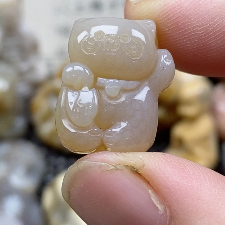 硅化珊瑚（珊瑚玉）未镶嵌颈饰小