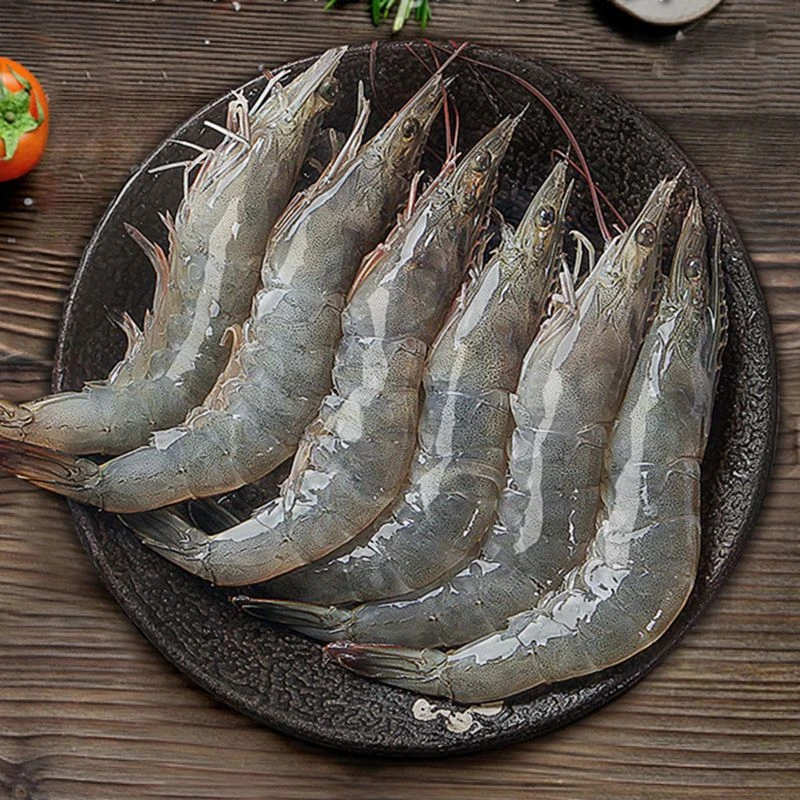 渔船海捕 大虾 海水虾 大号海虾14-18只速冻锁鲜新鲜味美整箱5斤