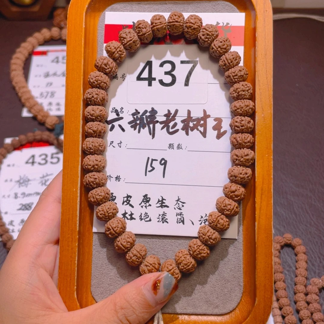 菩提437六瓣老树王11