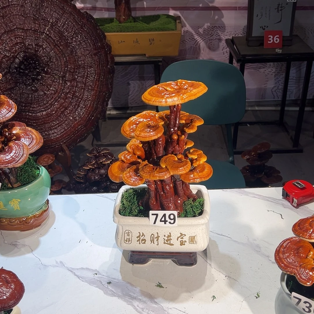 浩***荡无花朵8888888888