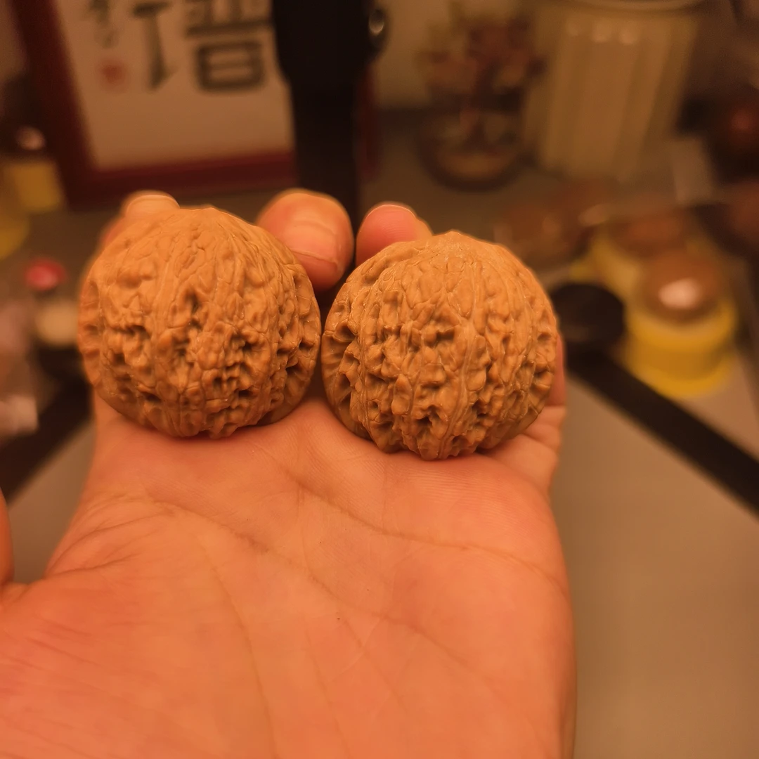 原装绣球狮子头37精品