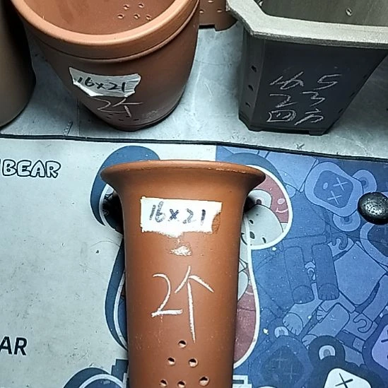 小红兰花两个微瑕