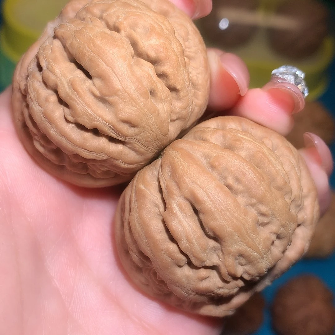 文玩核桃把件向**生霸王龙