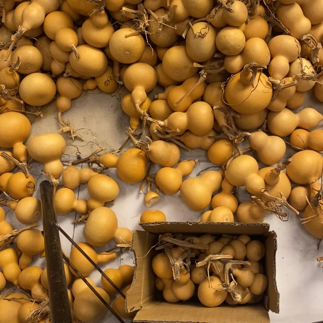 A****n精品手把包邮包邮包邮