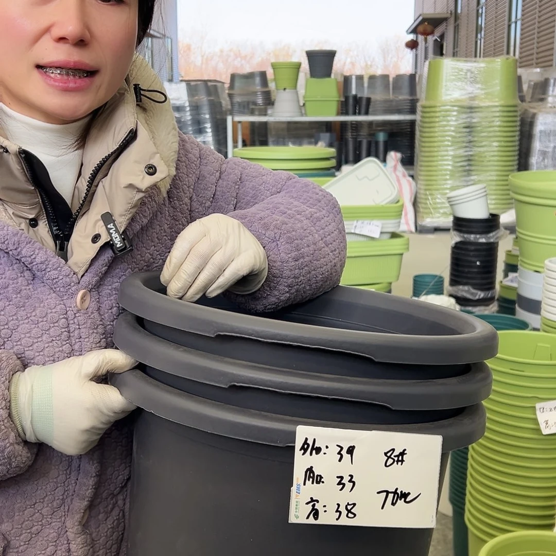 瑕疵四季盆8#灰黑5个无托