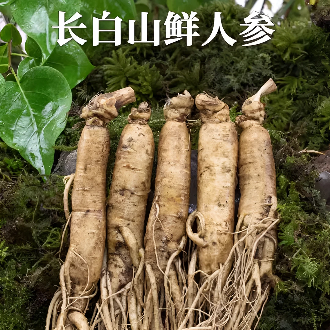 【微残人参一斤】直播间福利长白山新鲜人参产地直发煲汤泡酒