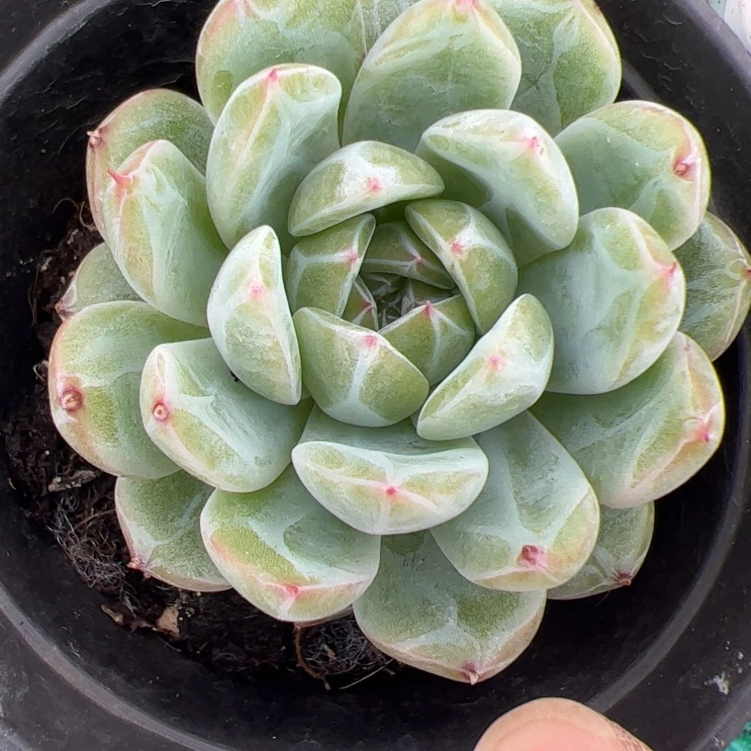 012 满38元包邮非