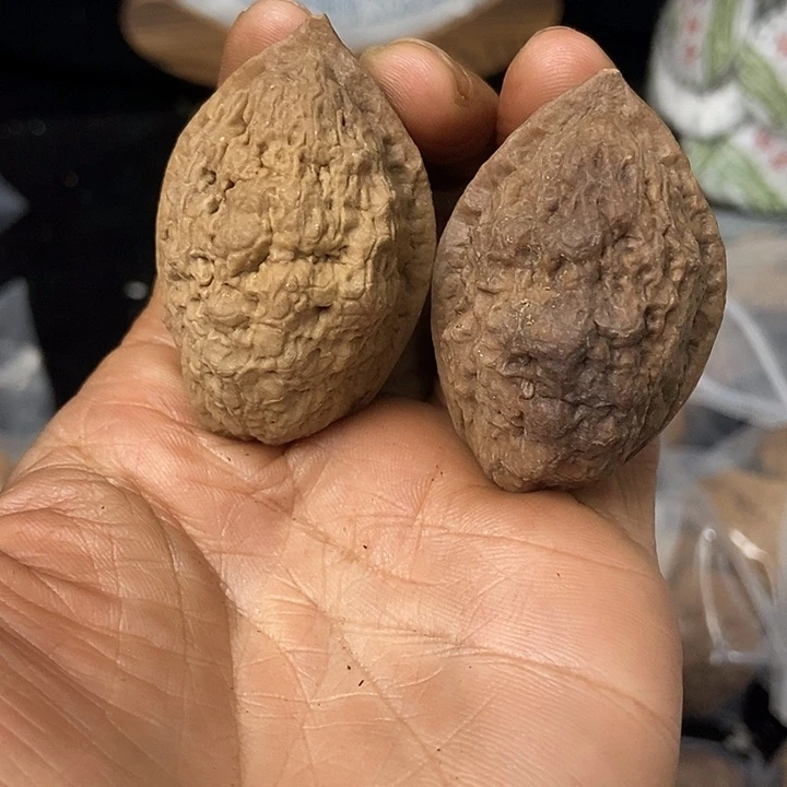 把件文玩核桃云南铁核桃基地85