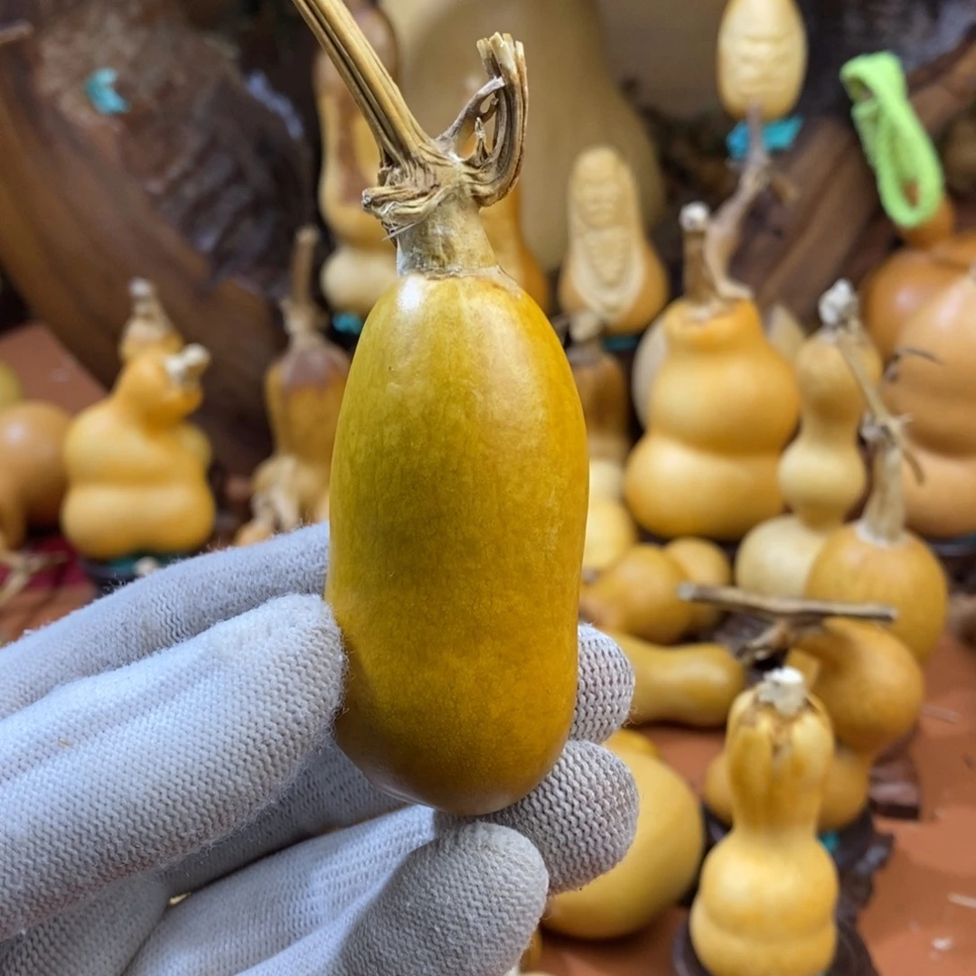 尼***丁教练教练咯嘛啦啦啦啦