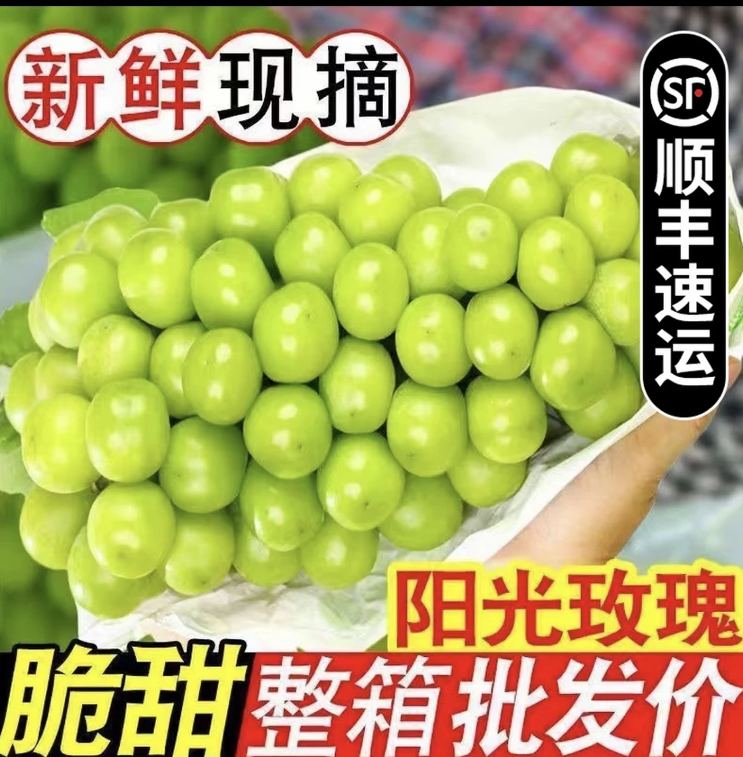正宗阳光玫瑰葡萄新鲜采摘无籽脆甜多汁带玫瑰香
