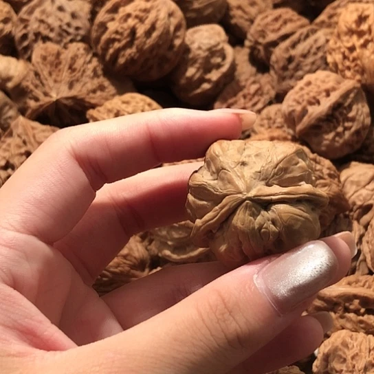 娃***鱼桃核吊坠核桃核桃核桃