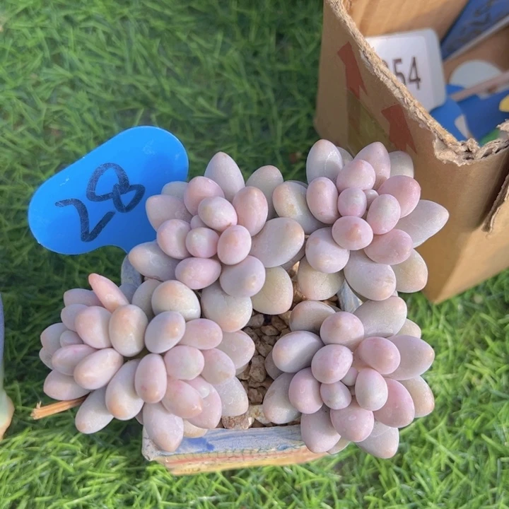 健健康康平平安安