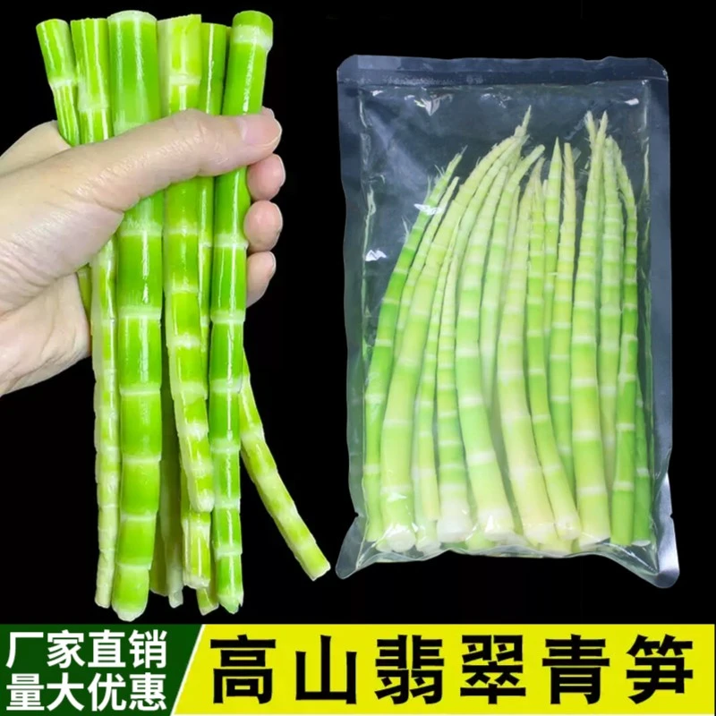 高山小竹笋鲜嫩无笋衣春季蔬菜现挖真空袋装美味可口