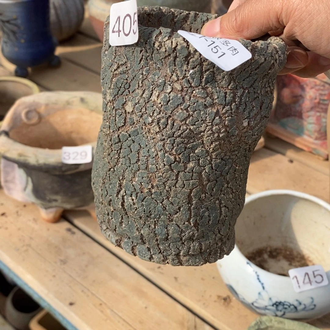 红陶黄*151号多肉盆一个呀