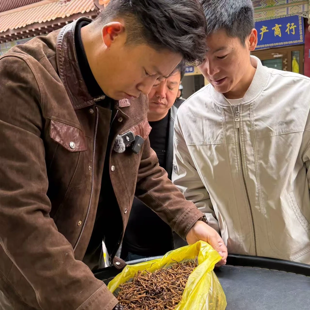 【冬虫夏草】30克 麻草 二级颜色（有点黑 营养不减） 现场实收