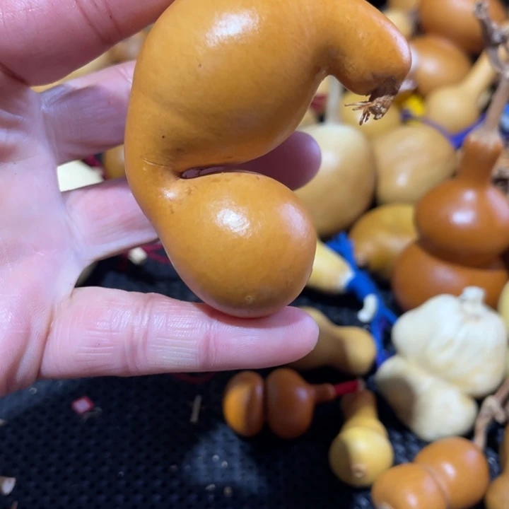 ༺***༻葫芦哈哈哈哈哈哈哈哈