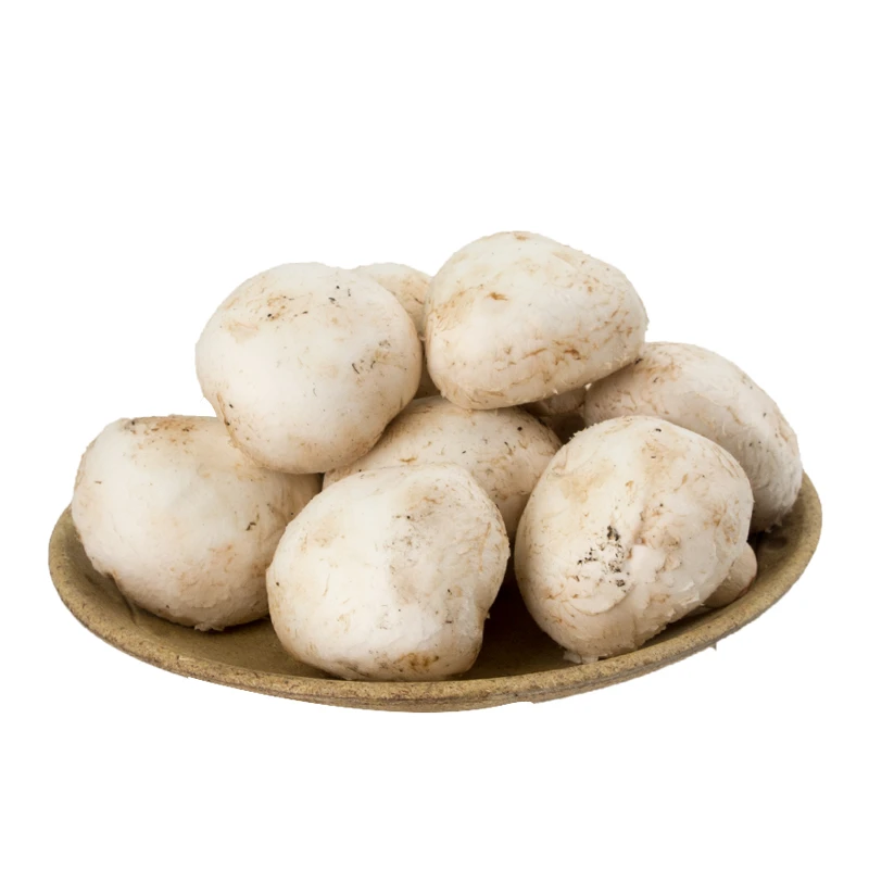 口蘑250g/盒