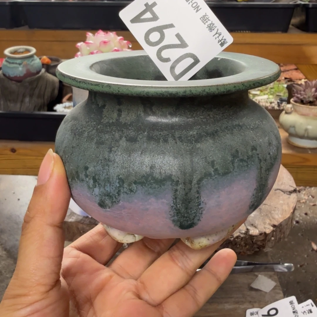 重庆小燕子欢迎大家294