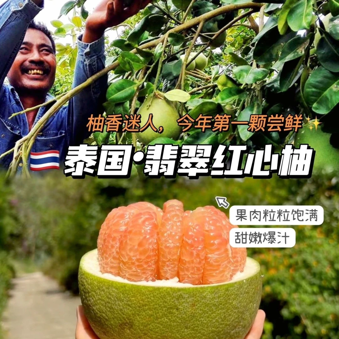 KINGHUY/皇荟泰国翡翠柚原装进口新鲜水果安帕瓦爆汁蜜柚清甜多汁