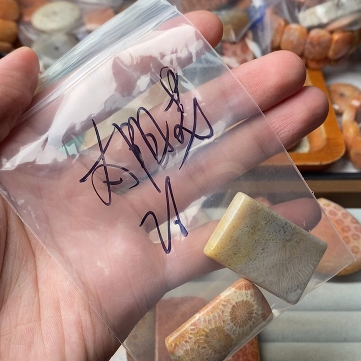 太***阳硅化玉未镶嵌珊瑚玉