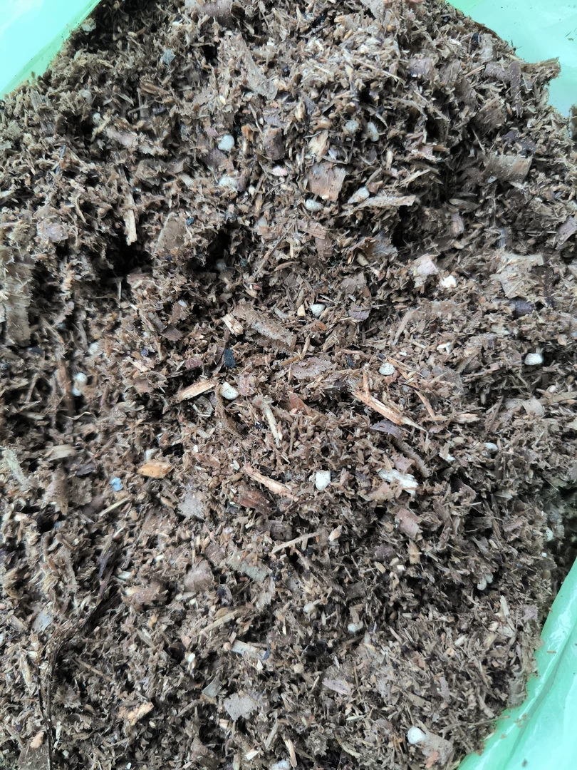 三角梅扦插嫁接配方土，疏松透气