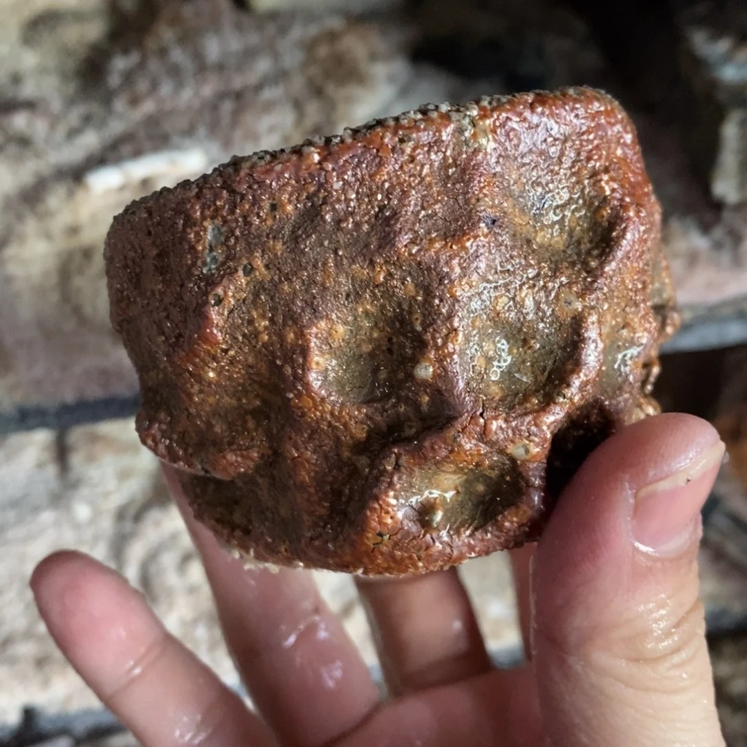 开窑大吉，高货多多748