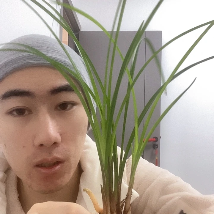 完全开放永昌心荷